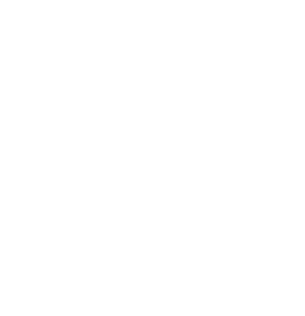 W3C logo